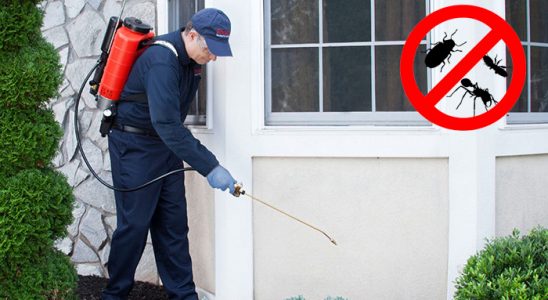 Osmancık Fare İlaçlama böcek ilaçlama ve haşere kontrolü — ilaclama-tr.com